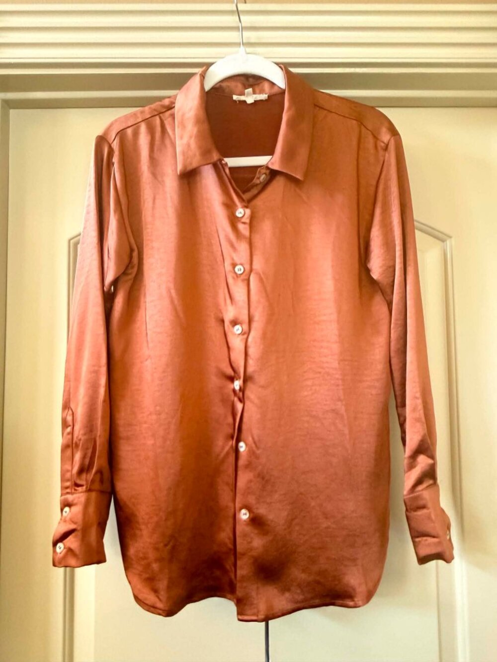 Rust Boutique Blouse Button Down